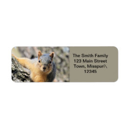 de heer Cutie Etiket