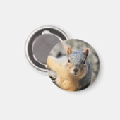 de heer Cutie Magneet (Voorkant / Achterkant)