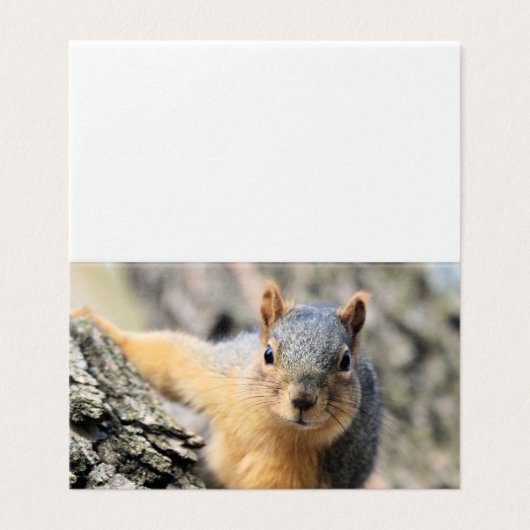 de heer Cutie Visitekaartje (Buitenkant ongevouwen)