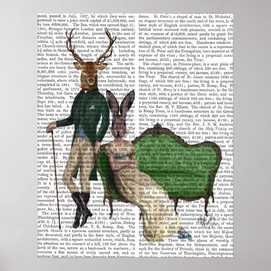 De heer Deer en mevrouw Rabbit Poster (Voorkant)