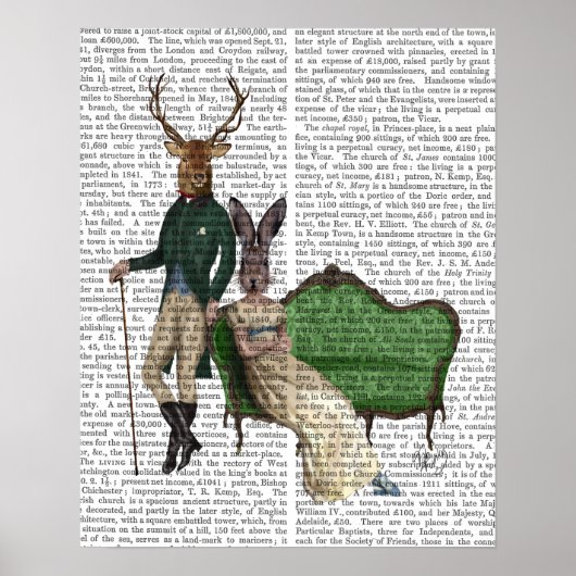 De heer Deer en mevrouw Rabbit Poster (Voorkant)