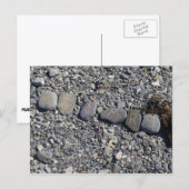 De heer en mevrouw Beach Rocks in Bar Harbour Briefkaart (Voorkant / Achterkant)