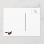 De heer en mevrouw Beach Rocks in Bar Harbour Briefkaart (Achterkant)