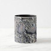 De heer en mevrouw Beach Rocks in Bar Harbour Mok (Midden)