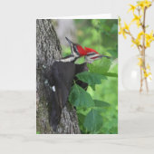 De heer en mevrouw Pileated Woodpecker Wenskaart Kaart (Gele Bloem)