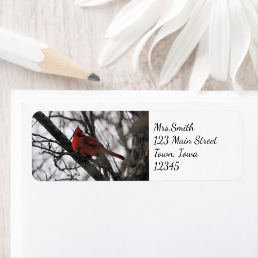 De heer etiket (Insitu)