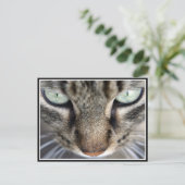 de heer Face Briefkaart (Staand voorkant)