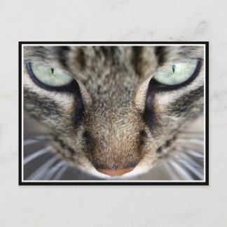 de heer Face Briefkaart