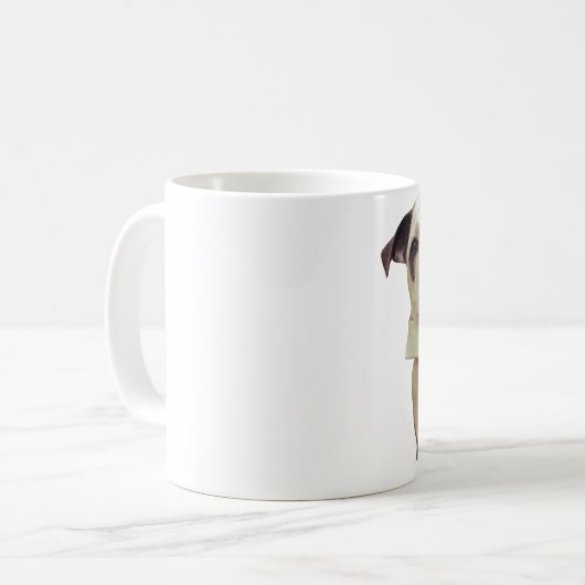 de heer Fig Newton Mok #2 (Voorkant links)