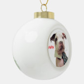 de heer Fig Newton Ornament #1 (Links)