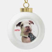 de heer Fig Newton Ornament #1 (Voorkant)