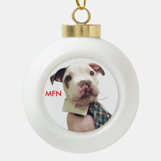 de heer Fig Newton Ornament #1 (Voorkant)