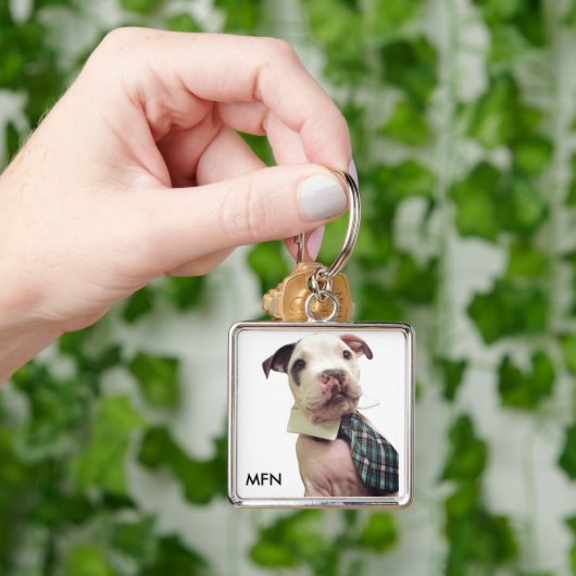 De heer Fig Newton Sleutelhanger (Hand)