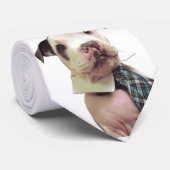 De heer Fig Newton Stropdas (Opgerold)