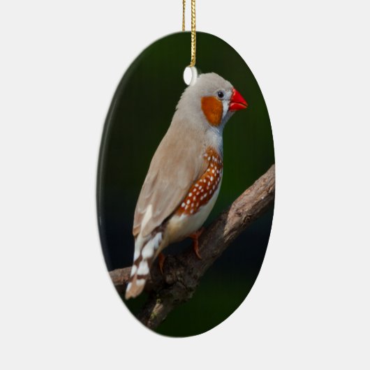 de heer Finch Ornament (Rechts)