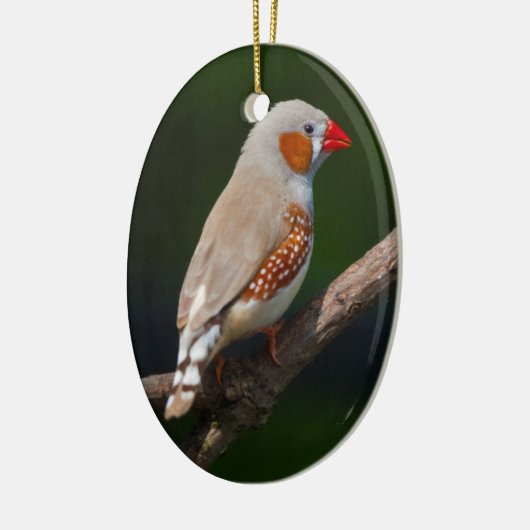de heer Finch Ornament (Links)