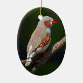 de heer Finch Ornament (Voorkant)