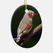 de heer Finch Ornament (Achterkant)