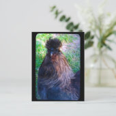 De heer Fluffy de Silkie Rooster Briefkaart (Staand voorkant)