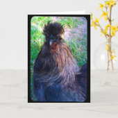 De heer Fluffy de Silkie Rooster Kaart (Gele Bloem)