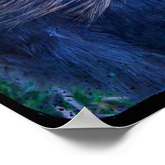 De heer Fluffy de Silkie Rooster Poster (Hoek)