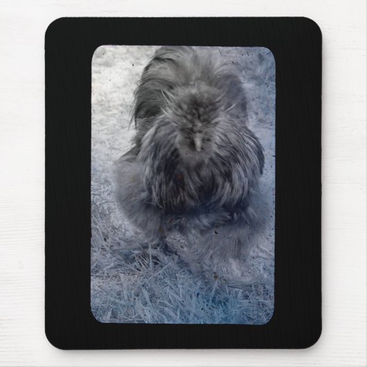 de heer Fluffy Silkie Rooster 2 Muismat (Voorkant)