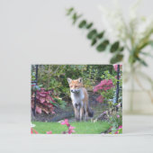 de heer Fox Briefkaart (Staand voorkant)