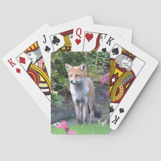 de heer Fox Pokerkaarten (Achterkant)