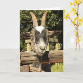 de heer Goat Kaart (Gele Bloem)