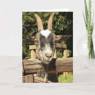 de heer Goat Kaart