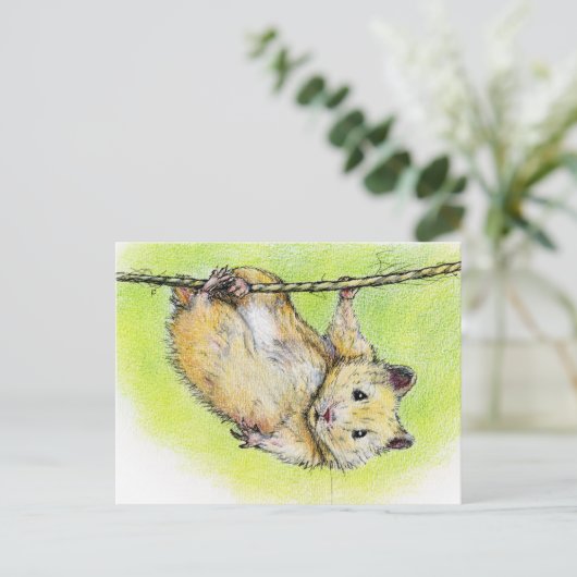 De heer Ham Briefkaart (Staand voorkant)