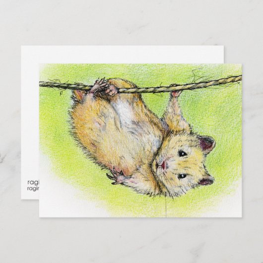 De heer Ham Briefkaart (Voorkant / Achterkant)