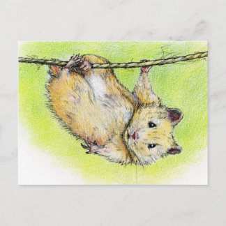 De heer Ham Briefkaart