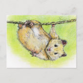 De heer Ham Briefkaart (Voorkant)