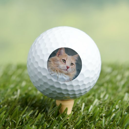 de heer Handsome Golfballen (Insitu Shirt)