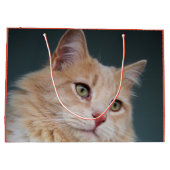 de heer Handsome Groot Cadeauzakje (Achterkant)