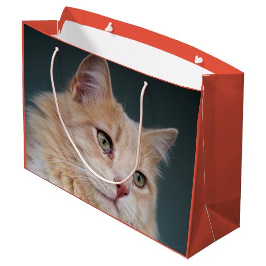 de heer Handsome Groot Cadeauzakje (Achterkant Gekanteld)