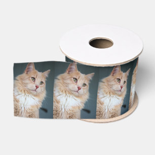 de heer Handsome Grosgrain Lint