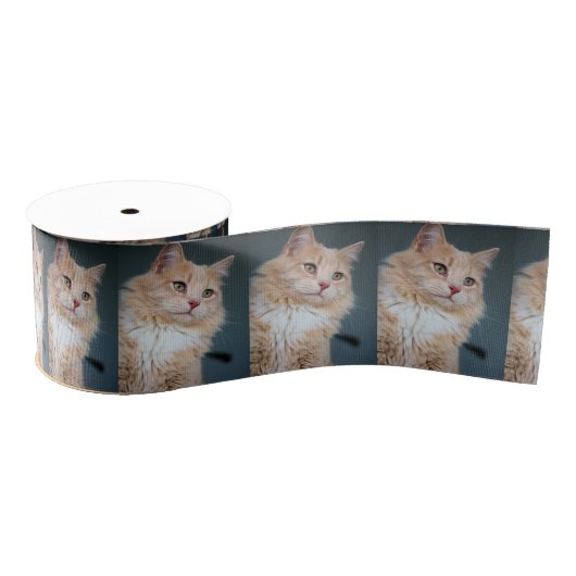 de heer Handsome Grosgrain Lint (Spoel)