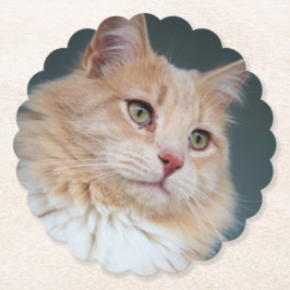 de heer Handsome Kartonnen Onderzetters