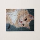 de heer Handsome Legpuzzel (Horizontaal)