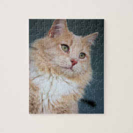 de heer Handsome Legpuzzel