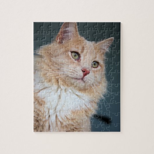 de heer Handsome Legpuzzel (Verticaal)