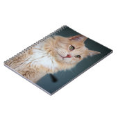 de heer Handsome Notitieboek (Linkerzijde)