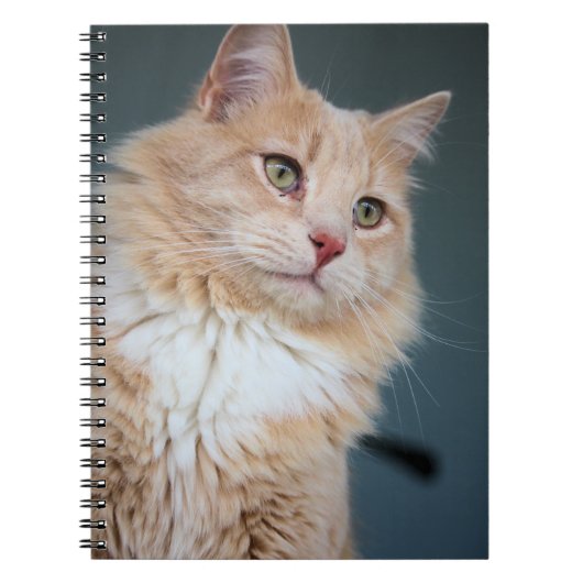 de heer Handsome Notitieboek (Voorkant)