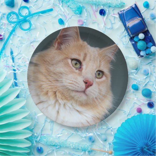 de heer Handsome Papieren Bordje (Feest)