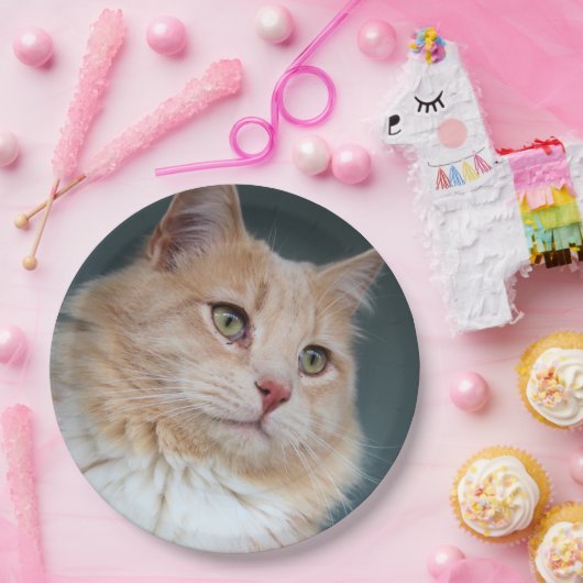 de heer Handsome Papieren Bordje (Feest)