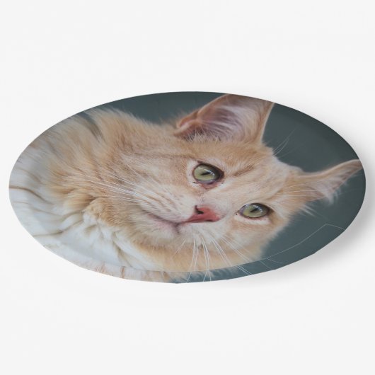 de heer Handsome Papieren Bordje (Gekanteld)