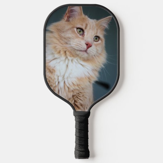 de heer Handsome Pickleball Paddle (Voorkant)