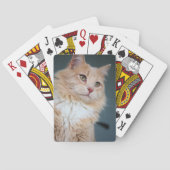 de heer Handsome Pokerkaarten (Achterkant)